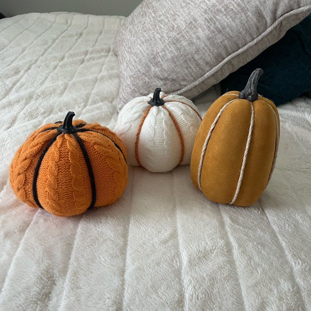 COPY - Set of decorative fall pumpkins